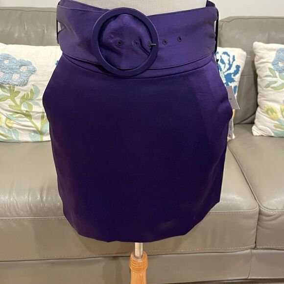 ZARA Limited Edition Belted Mini Skirt - Picture 1 of 15